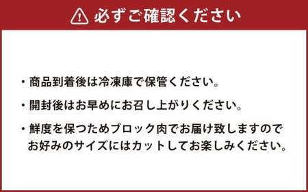 【2025年4月以降順次発送】【純国産熊本肥育】桜牧場 馬刺し 霜降り 赤身 セット 5種 計400g