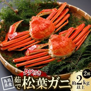 【先行予約】鳥取県産 タグ付き 茹松葉がに 1kg以上×2杯(中村商店)25年12月・26年1月発送【配送不可地域：離島・北海道・沖縄県・東北・信越、北陸】【1692754】