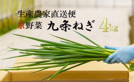 生産農家直送 京野菜・九条ねぎ4kg〈ねぎ 野菜 農家直送 京都