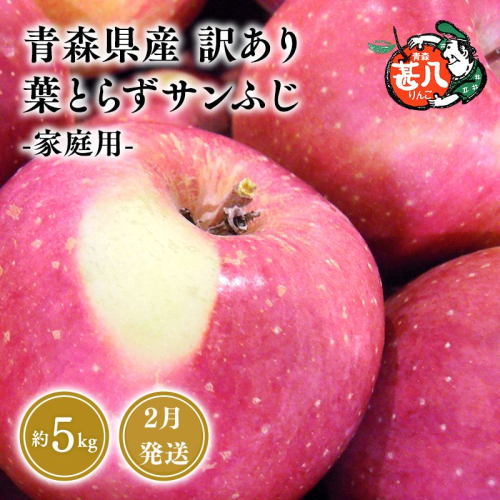 ２月発送 訳あり 家庭用 甚八りんご葉とらずサンふじ5kg 【マルジンサンアップル 2月 青森県産 平川市 りんご 葉とらずサンふじ 5kg 訳あり 家庭用】