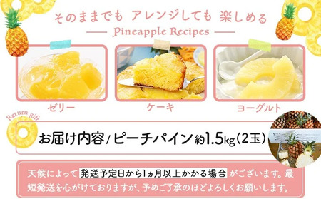2024年 先行予約 ピーチパイン 2玉 ★西表島ふる～つらんど★不動の人気No.1 甘熟 果物 フルーツ パイン