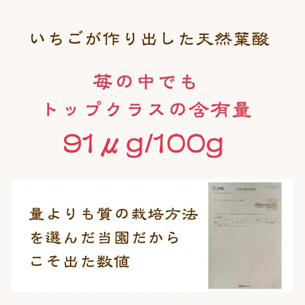 先行予約  いちご 雪国完熟越後姫 約170g×4P 苺 イチゴ フルーツ 完熟 越後 新潟 苺の花ことば
