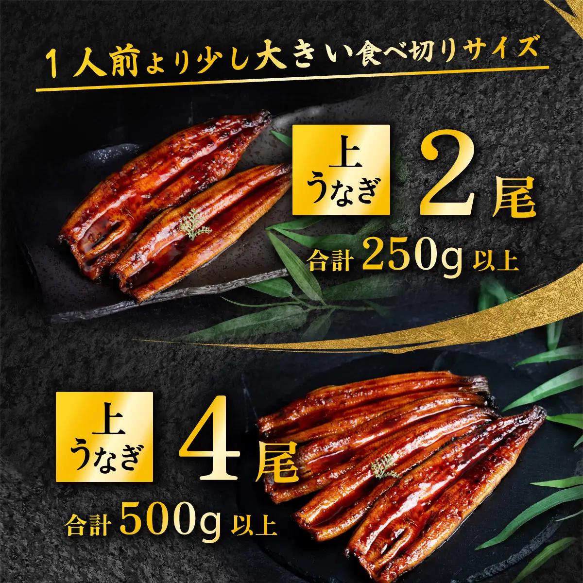 うなぎ 国産 蒲焼き 1尾 270g 特上ウナギ 8月発送