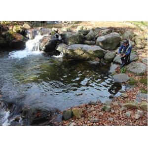渓流釣り体験【大人1名入場券】【1672835】