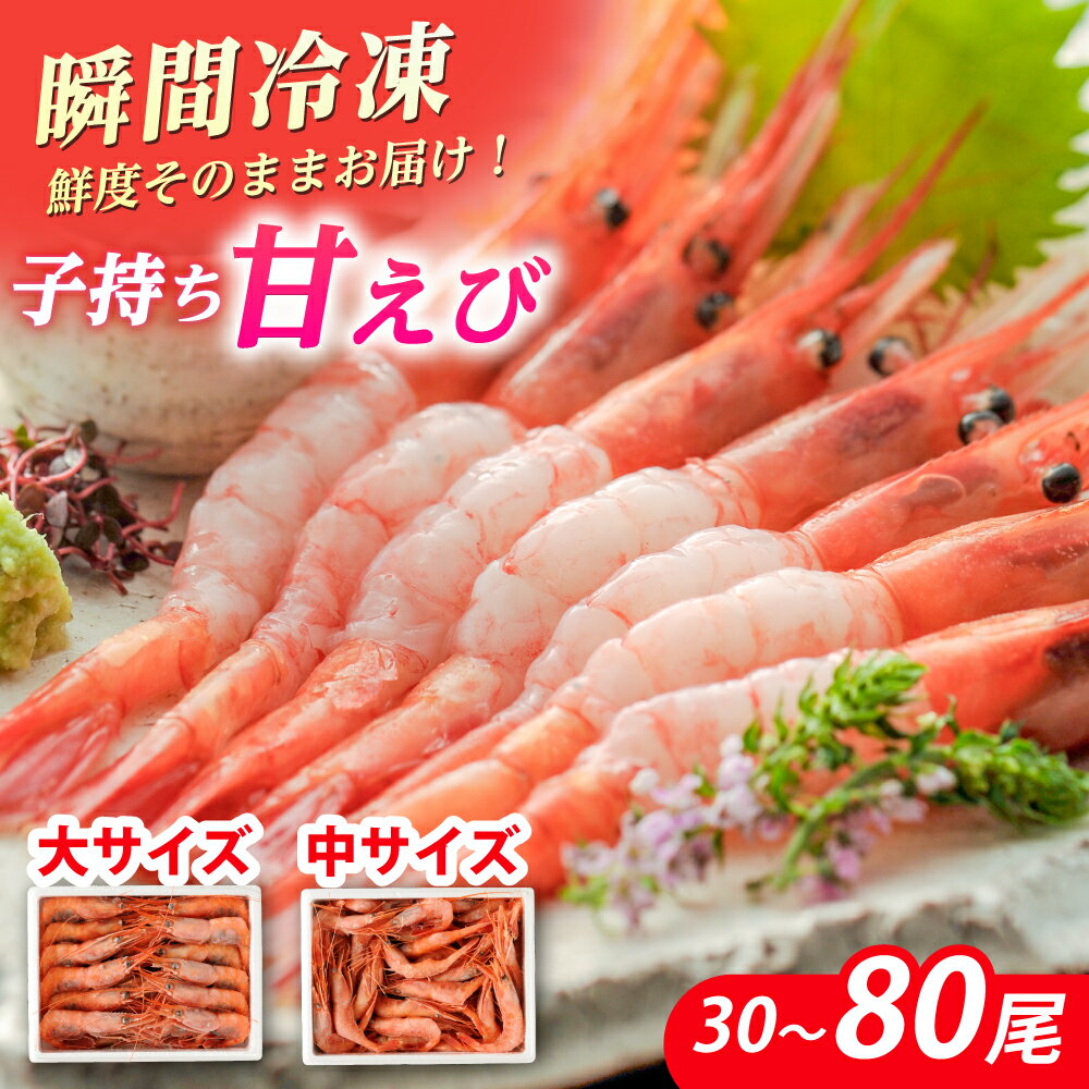 【ふるさと納税】子持ち 甘えび（冷凍・刺身用）500g〜1kg 【最速発送】【容量が選べる】 ｜ 甘エビ 海老 えび エビ 冷凍 アマエビ あまえび 甘海老 生食 刺身 産地直送 国産 人気 送料無料 福井県小浜市 【配送不可地域：北海道・沖縄・離島】 [BFAA048]