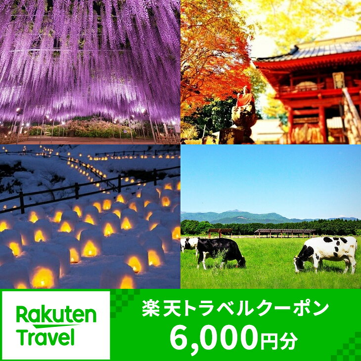 【ふるさと納税】栃木県の対象施設で使える楽天トラベルクーポン 寄付額20,000円（クーポン額6,000円）
