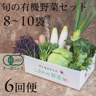 ふるさと納税 掛川市 【毎月定期便】しあわせ野菜畑の有機野菜　Mセット　(安心の有機JAS認証　オーガニック野菜)全6回