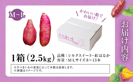 人気品種「紅はるか・シルクスイート」の食べ比べ！ 【数量限定】北海道雨竜町産 さつまいも 食べ比べセット「シルクスイート・紅はるか」 M-Lサイズ 2.5kg 大きめサイズ 産地直送 さつまいも サツ