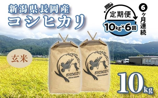 N5-G106【6ヶ月連続お届け】新潟県長岡産コシヒカリ玄米10kg