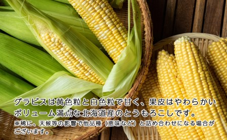 2024年夏発送 とうもろこし 20本セット（グラビス等）【土居ファーム】