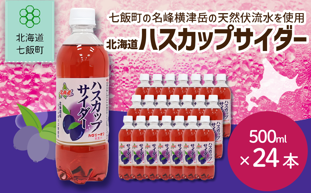 ハスカップサイダー24本（500mlペットボトル） NAQ009