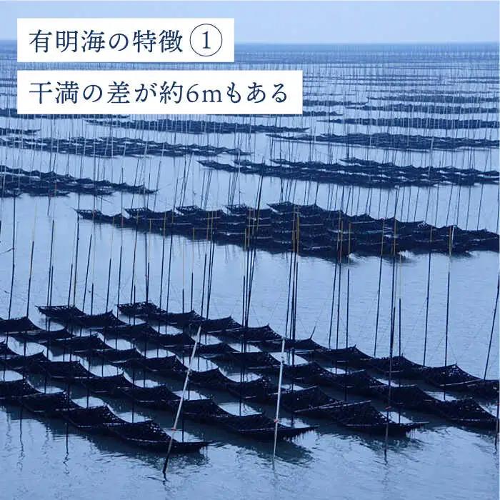 【焼きのり・味付けのり】佐賀海苔 有明の華 のり 海苔[FBC047]