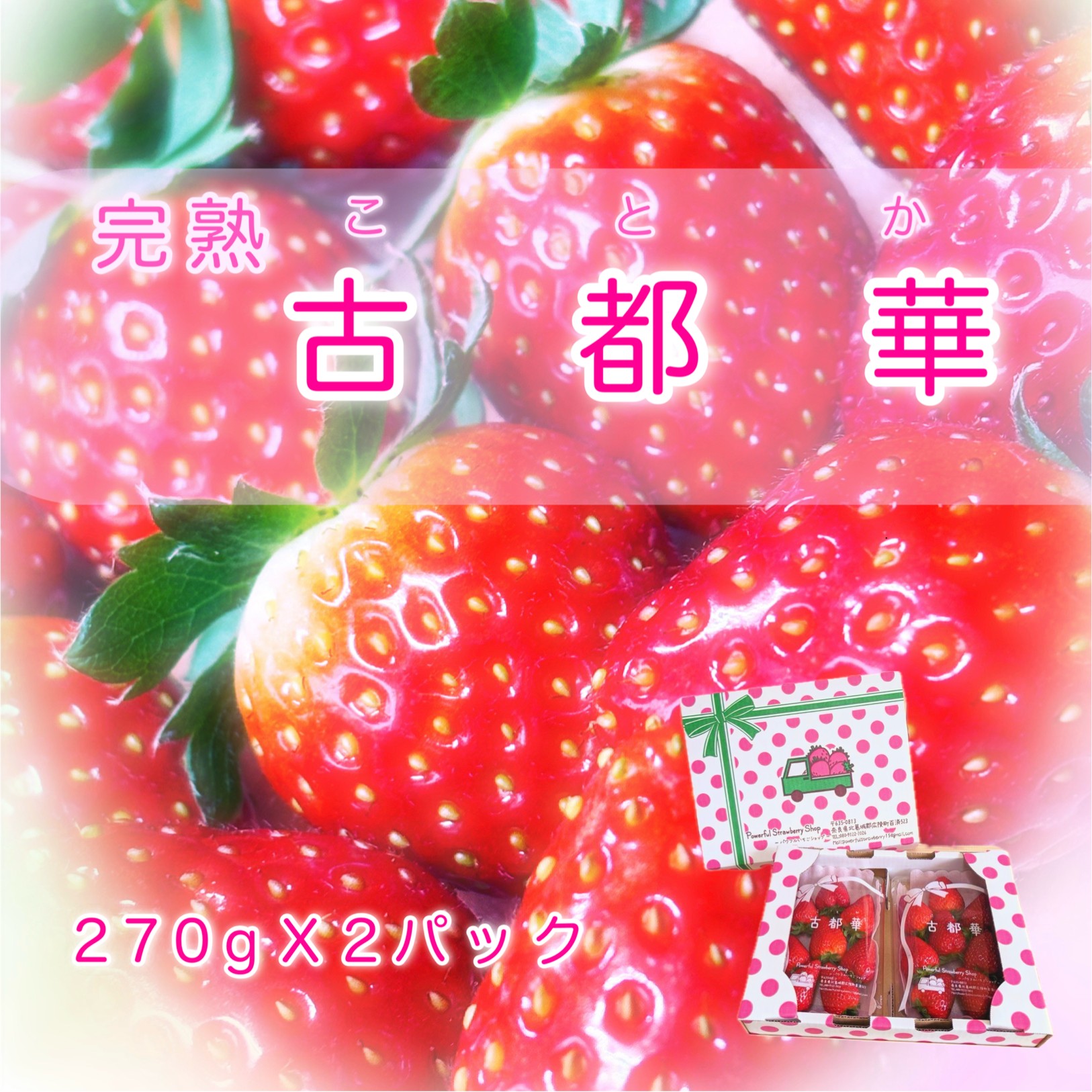 【ふるさと納税】【先行予約】【2月発送】「古都華」いちご好きのためのいちご 奈良県ブランドいちご // いちご イチゴ 古都華 フルーツ 果物 旬 甘い 先行受付 予約