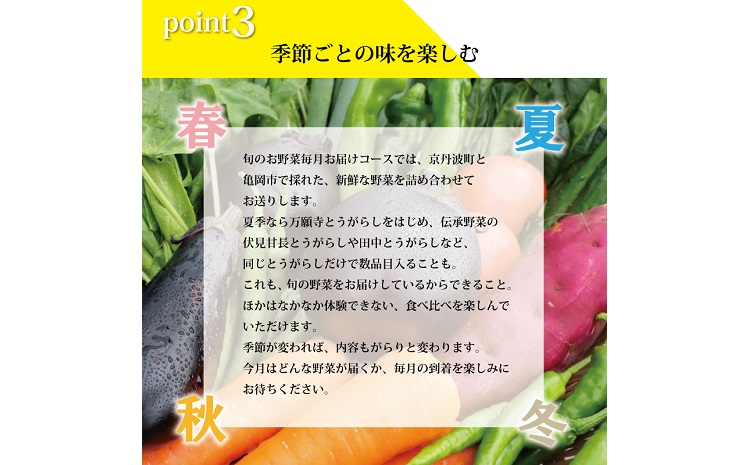 【3回定期便】旬の京野菜　毎月お届けレギュラーコース（全3回） 《野菜定期便 野菜詰め合わせ 野菜セット 京野菜 旬の野菜 新鮮野菜 有機野菜 減農薬》 ※沖縄・その他離島は配送不可 [033KH00