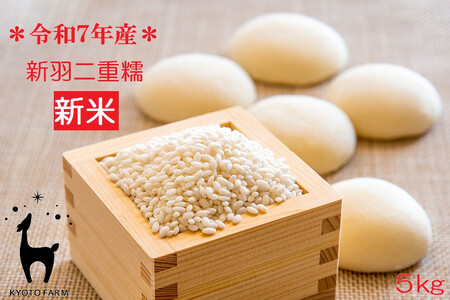 【新米先行受付】【京都ファーム】令和7年産 もち米 新羽二重糯5kg 12月発送