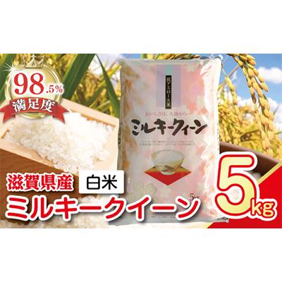 ふるさと納税 近江八幡市 【7年産】近江米ミルキークイーン【5kg×1袋】