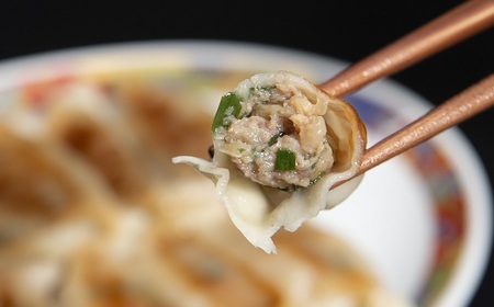 松阪牛餃子と松阪牛肉まん【1-176】