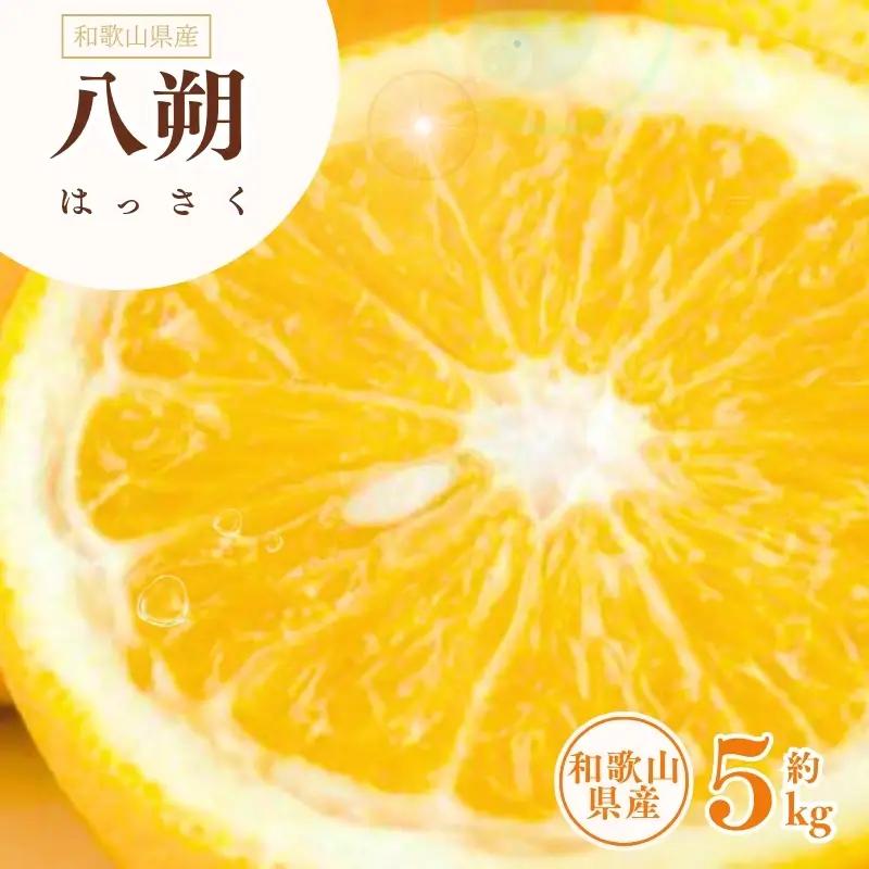 八朔(はっさく) 約5kg サイズおまかせ　紀伊国屋文左衛門本舗 ※2027年1月下旬～2027年4月上旬頃発送予定【ntb410B】