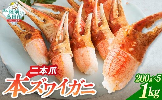 本ズワイガニ 爪肉 200g×5パック 計1kg 【 かに カニ 蟹 二本爪 蟹爪 ズワイガニ むき身 ボイル 冷凍 刺身 寿司 海鮮丼 魚介 海鮮 広栄水産 】 RT1273