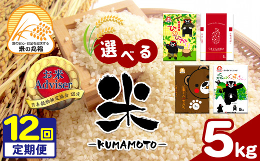 【定期便12回】 お米アドバイザーにおまかせ 5kg×12回 | 米 こめ お米 おこめ 白米 精米 定期 定期便 熊本県 玉名市