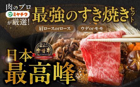 畜産農家応援! 宮崎牛スライス2種セット250g×2パック+豚肉ハンバーグ100g×4個_13-N201-ESH_(都城市) 宮崎県産宮崎牛 肩ローススライス 宮崎牛ウデ又はモモスライス すき焼き し