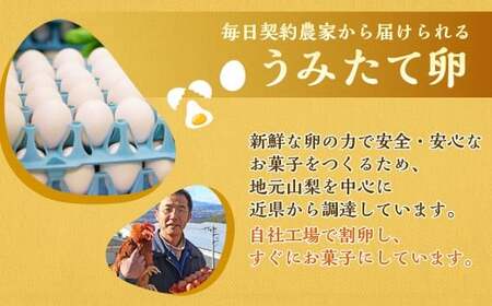 【シャトレーゼ】 ふっくら シューアイス（バニラ）【個包装】18個入