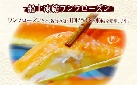 [順次発送] 特大たらば蟹 1kg 【YAMATO 蟹 カニ 魚介類 魚貝類】
