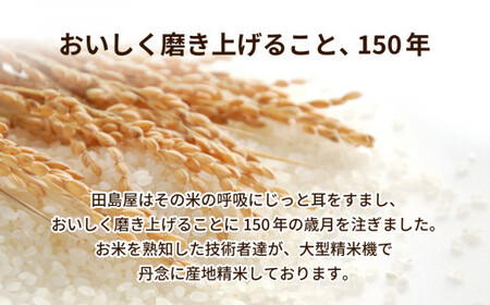 令和7年産 茨城県産 コシヒカリ 精米 5kg(5kg×1袋)  ｜コシヒカリ 米 精米 白米 5kg  お弁当 もちもち 国産 送料無料 ブランド米 
