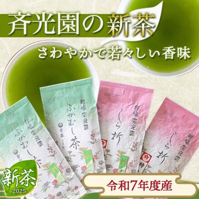 ふるさと納税 都城市 〈令和7年度産〉新茶360g【宮崎県都城市 斉光園】