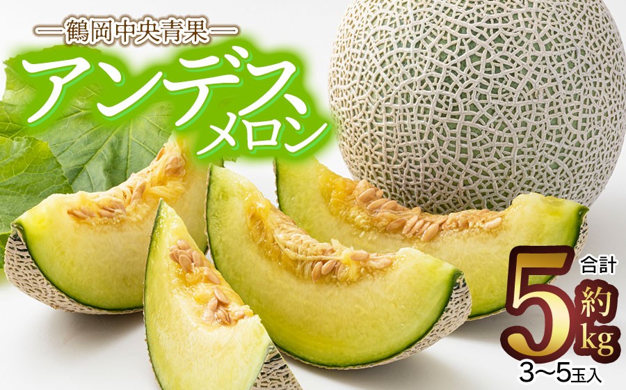 
                  【令和8年産先行予約】アンデスメロン【青肉】 5kg　（3～5玉）　山形県鶴岡市　鶴岡中央青果　| メロン めろん 青肉メロン 5キロ 山形 鶴岡 庄内 庄内産 東北 フルーツ 果物 くだもの 夏 旬  人気 おすすめ 美味しい お取り寄せ 返礼品
                