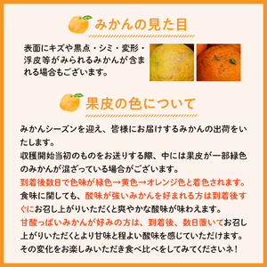 【2025年12月初旬～発送】倉橋ミカン食べてクレ園 いしじみかん 約5kg ku154-001-25