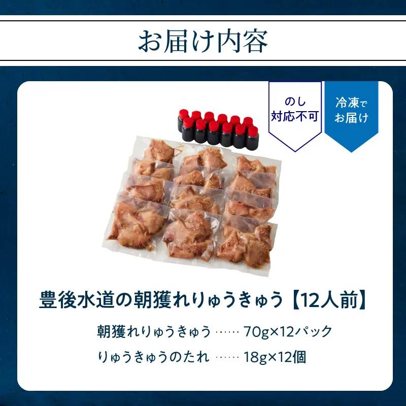 豊後水道の朝獲れ　りゅうきゅう　【12人前】 E22030