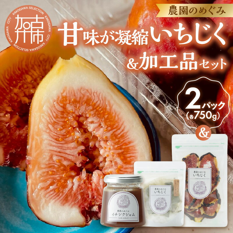 【ふるさと納税】【レビューキャンペーン】期間限定【農園のめぐみ】甘味が凝縮いちじく750g×2・いちじく加工品セット《 数量限定 限定 果物 くだもの フルーツ いちじく 無花果 送料無料 》