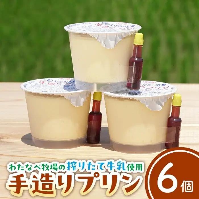【テレビで紹介されました】手造りプリン6個セット／冷蔵 ネッカ牛乳 ネッカ卵 蒸しプリン ソース別 牧場 スイーツ おいしい ご褒美 おやつ 牧場 搾りたて グルメ お土産 自宅用 ギフト 贈り物 人