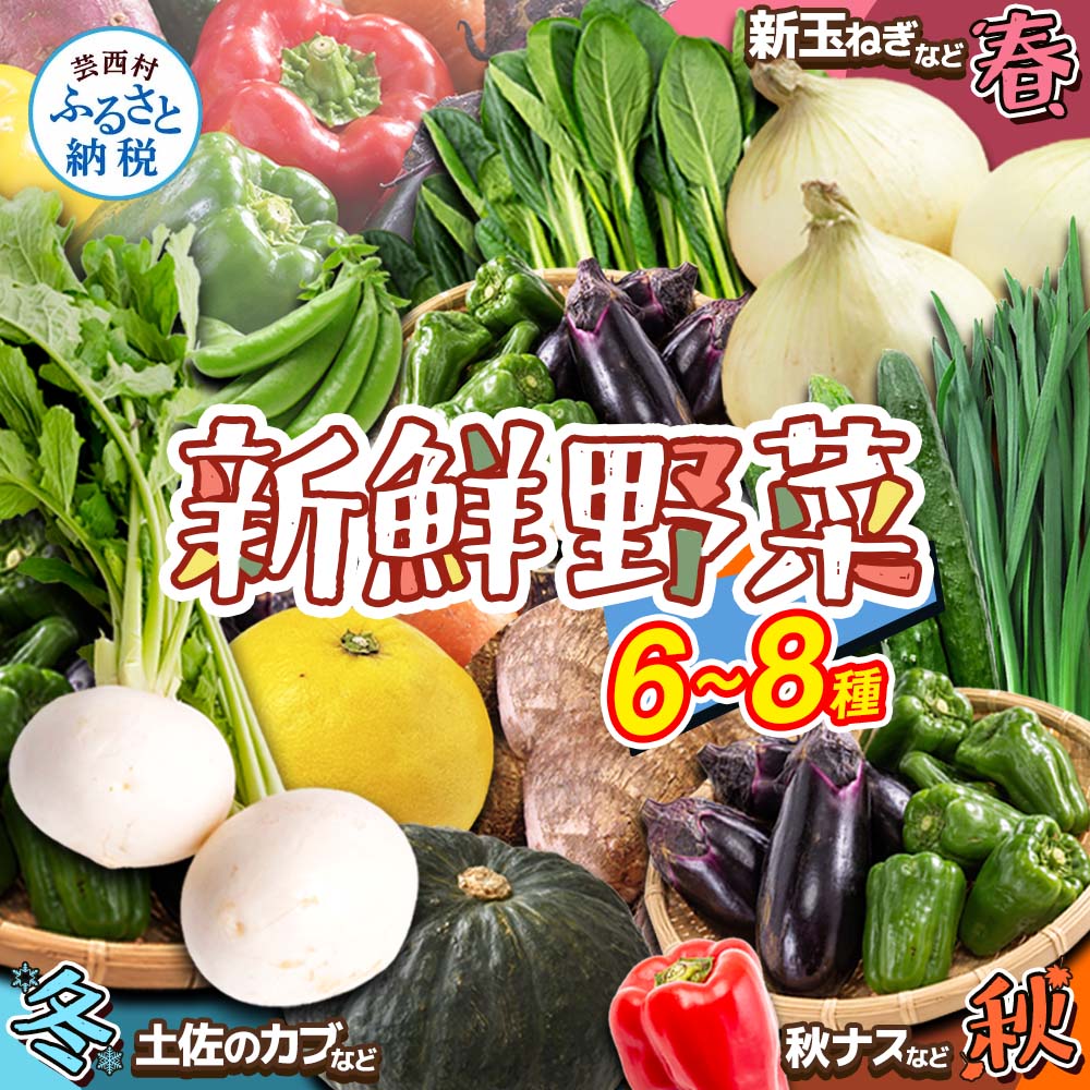 朝どれ！野菜の詰合せ／芸西村で採れた新鮮な野菜6～8種類をお届けします。