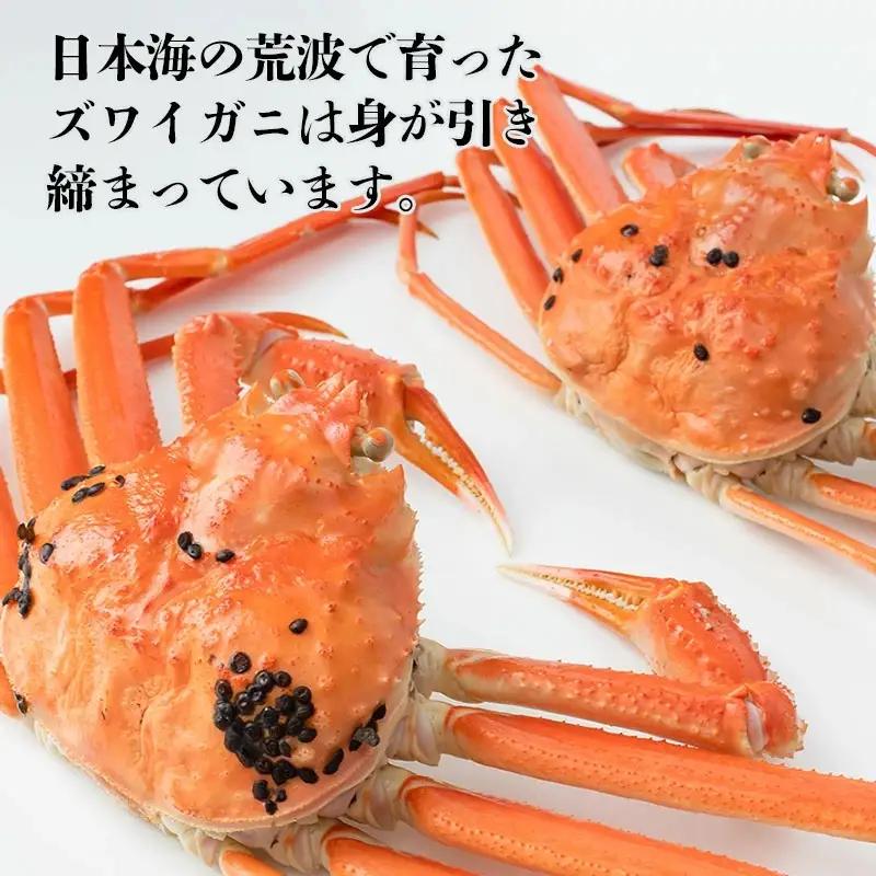 【令和8年10月以降発送】冷凍 鼠ヶ関産ボイルズワイガニ (約400g)×2尾 鶴岡魚類株式会社 K-895