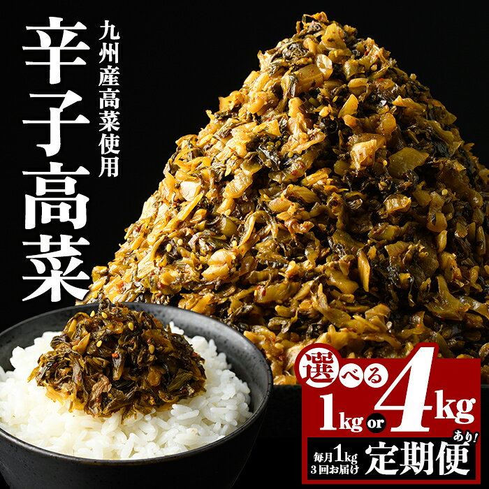 【ふるさと納税】《選べる内容量・配送》九州産辛子高菜(1kg・4kg・3回定期便) 国産 九州産 たかな 漬物 漬け物 ご飯のお供 おかず おつまみ おにぎり 常温 常温保存 定期便 【九州新進】
