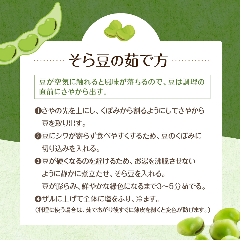 【先行受付 2025年4月中旬～5月中旬発送予定】そら豆/ソラマメ4kg 新鮮 栄養 ミネラル ビタミン類 植物性タンパク質 パスタ