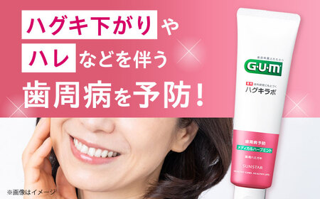 【最短7日以内発送】 GUMハグキラボ デンタルペースト 85g（メディカルハーブミント）20本 歯磨き粉 ハミガキ はみがき GUM ストック 消耗品 日用品 大容量 大阪府高槻市/サンスター[AO