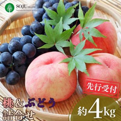 ふるさと納税 三条市 先行受付 季節の桃&amp;ぶどう詰合せ 約4kg 令和8年産 新潟県 【038P006】