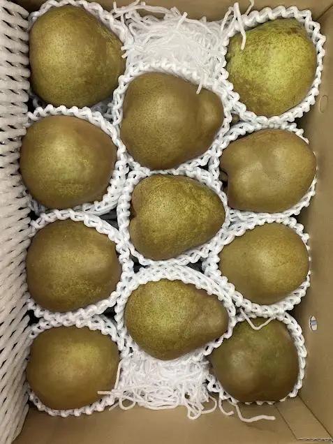 2026年産 西洋梨 ラフランス 3kg ラフランス 洋梨 くだもの