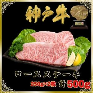 神戸牛(神戸ビーフ)ロースステーキ250g×2枚計500g SOST5【配送不可地域：離島】【1687003】