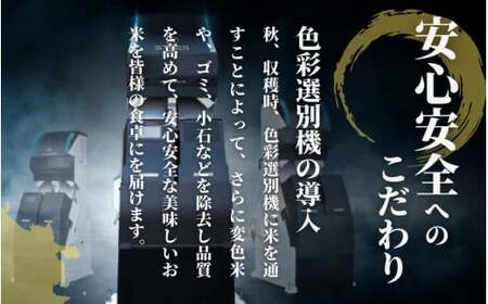 【定期便6回】令和8年産 新米 ゆきん子舞 10kg(5kg×2袋)×6回 計60kg 先行予約 | 新潟県産 米 白米 五泉市