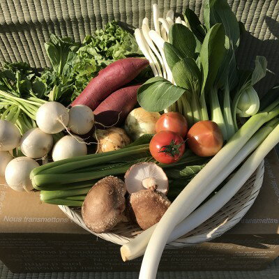 【ふるさと納税】＜3ヶ月定期便＞自然栽培野菜10～12品目 3・4月は玄米5kg 自然栽培 野菜 旬 セット 詰め合わせ 定期便 神栖市 茨城県 送料無料
