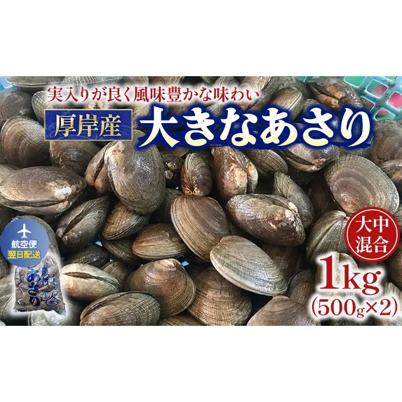 [翌日配送]厚岸産あさり 500g×2個 砂出し済 あさり