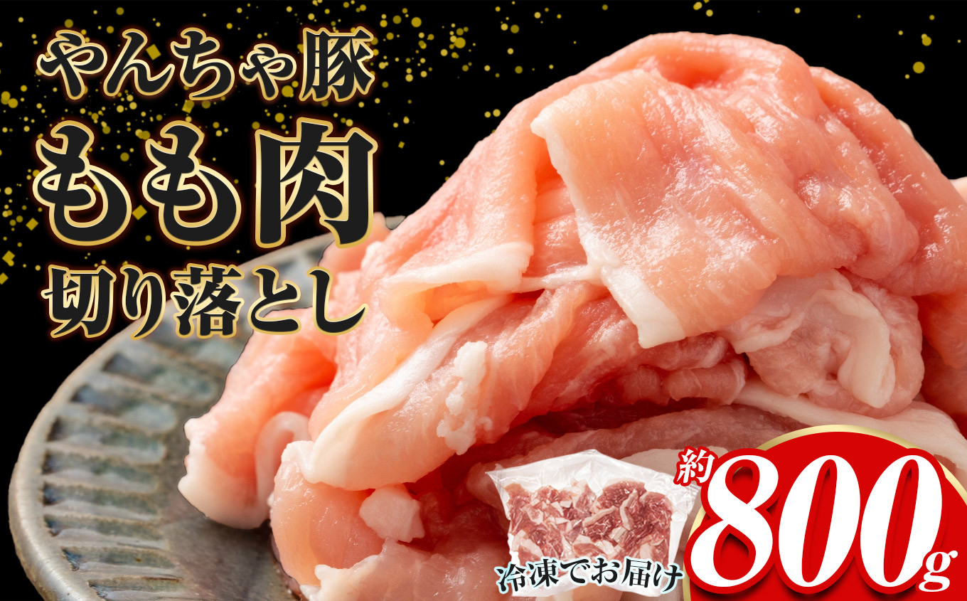 
                  下野市 黒沢牧場 やんちゃ豚 もも肉 切り落とし 約 800g  | 肉 豚肉 豚 モモ肉 もも肉 やんちゃ豚 切り落とし 栃木県 特産品 下野市 送料無料

                