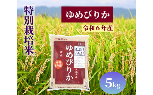 北海道奈井江町　特別栽培米　ゆめぴりか　5kg