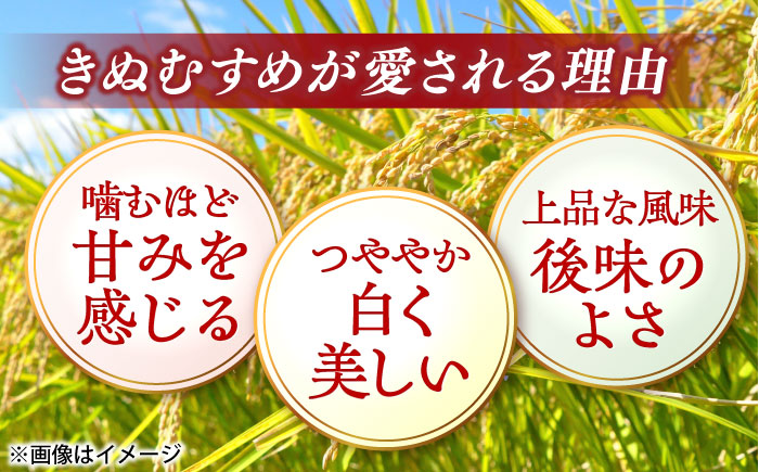 ＼新生活応援企画！／【数量限定20個】【4月末まで！】【全6回定期便】豊かな自然が育んだお米 松江市産きぬむすめ 10kg 島根県松江市/フジキコーポレーション株式会社 [ALDS022]