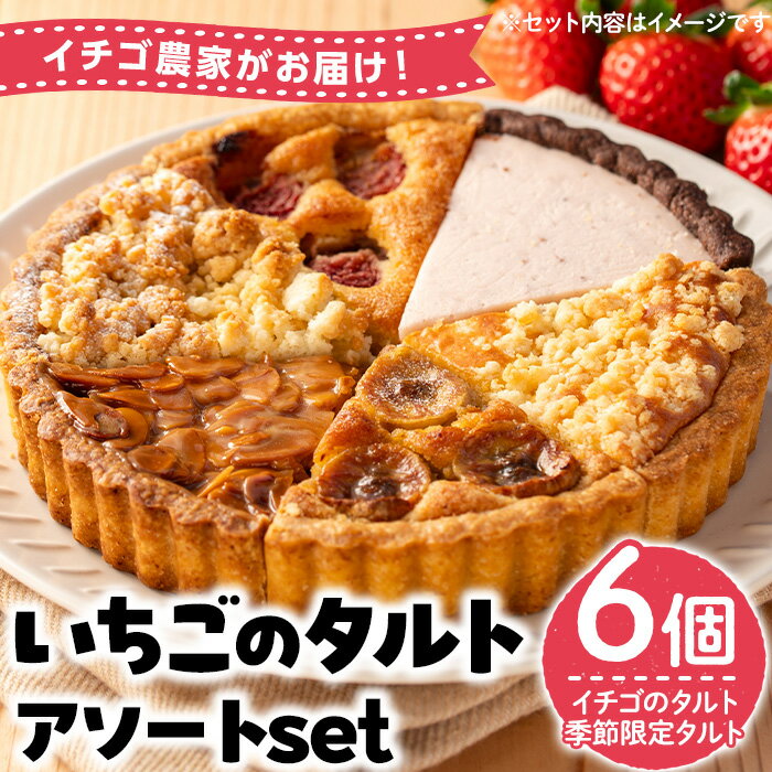 【ふるさと納税】いちごのタルトアソートセット(6種) 国産 スイーツ ケーキ タルト デザート いちご イチゴ 苺 菓子 お菓子 冷凍 ご褒美 プチ贅沢 ギフト 贈答品 ホワイトデー【tubu-ichigo】