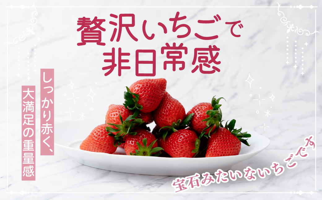 大粒完熟　群馬県産いちご「やよいひめ」400g×2 計800g｜コク 甘み 朝採れ やよいひめ 大粒 甘み 酸味 バランス 贈答用 新鮮 完熟 いちご 旬 苺 ストロベリー 産地直送 果汁 甘い あま
